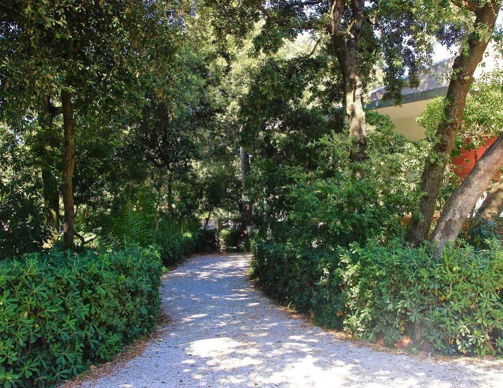 Apartment Invilla Seristori, A 50 M Dal Mare